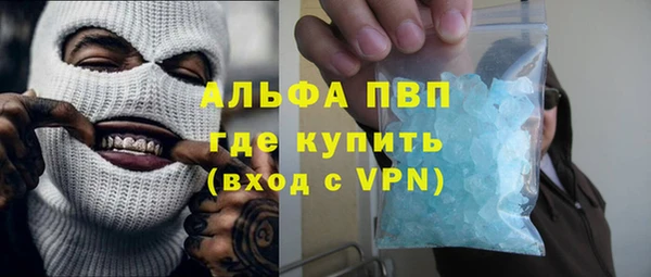 стаф Осинники