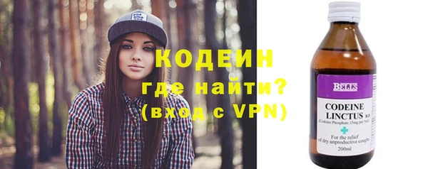 стаф Осинники