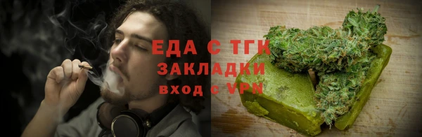 стаф Осинники