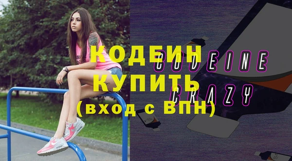 стаф Осинники