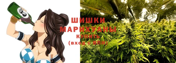 стаф Осинники