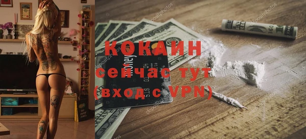 стаф Осинники