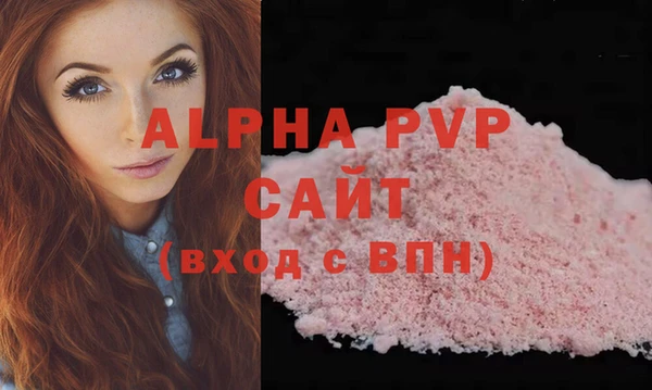 стаф Осинники