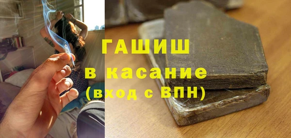 стаф Осинники