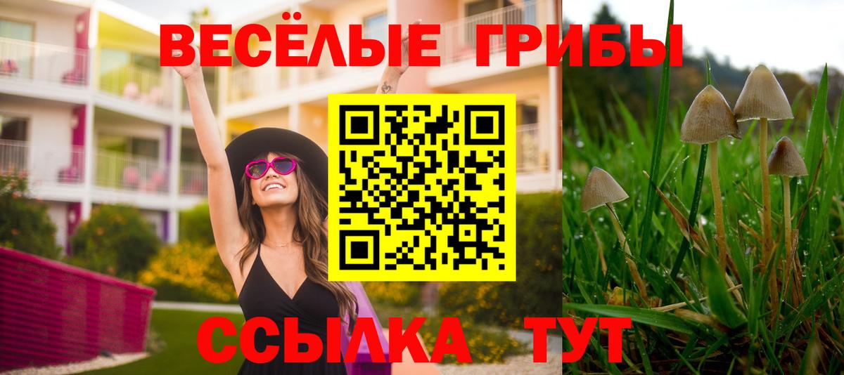 Псилоцибиновые грибы Cubensis  Псилоцибиновые грибы мицелий  Барнаул  Вход с VPN 