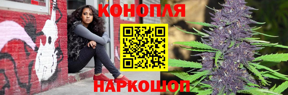 Конопля сатива Барнаул